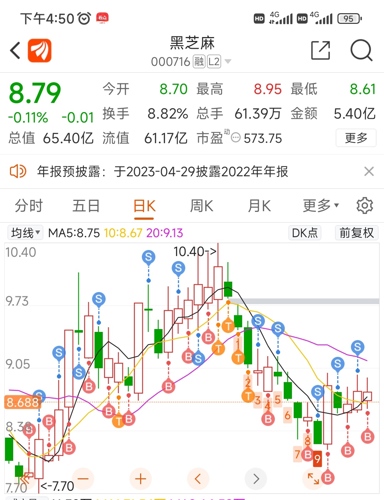 黑芝麻重组最新动态，深度解析与消息更新