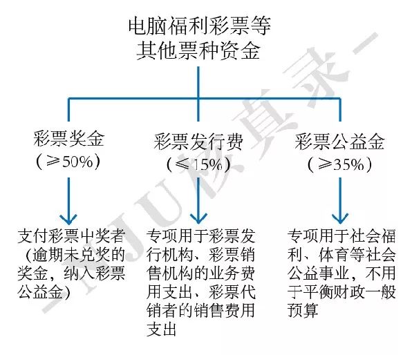 鲍学全最新动态，成长历程、成就展望及未来发展趋势揭秘