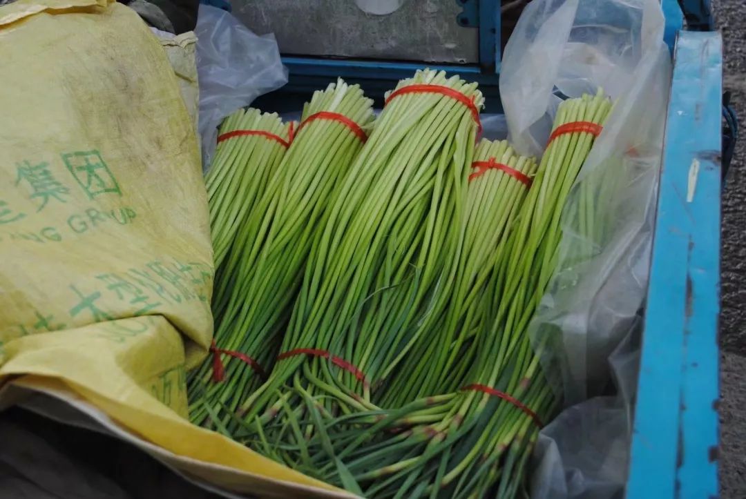 新蒜苔价格行情分析与市场趋势预测