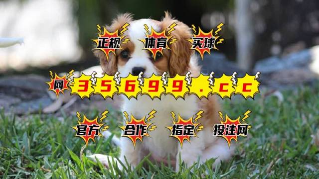 4949澳门特马今晚开奖,最佳精选解释落实_zShop40.945