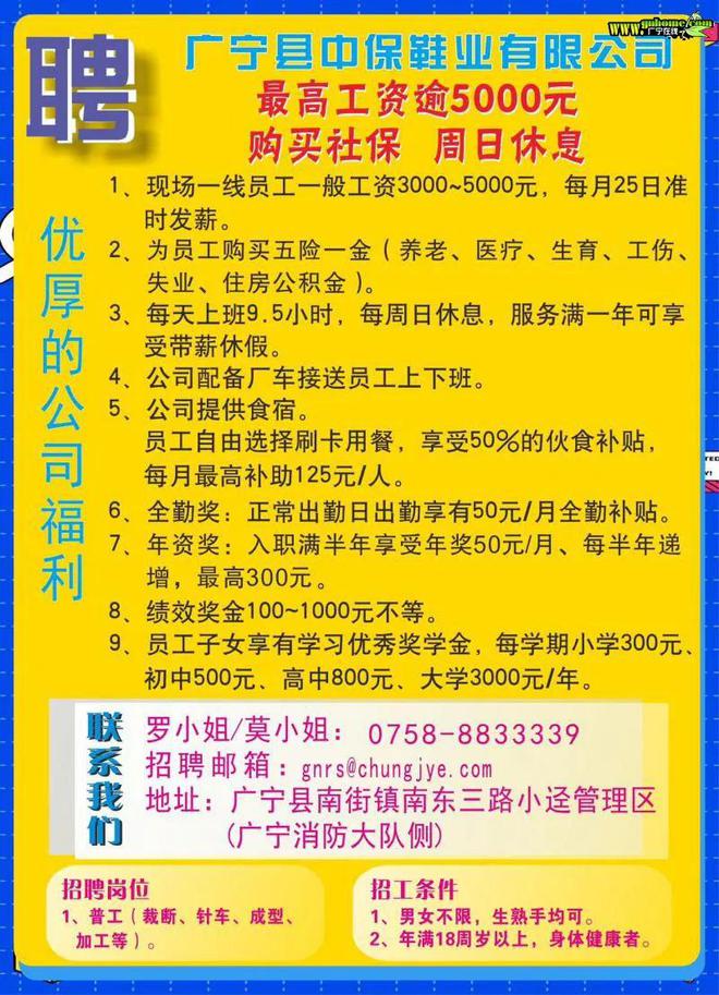 广宁快递招聘最新动态，职业发展的机遇与挑战