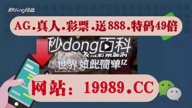 2024今晚新澳门开奖结果,动态词语解释落实_豪华款26.746