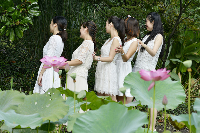 锦绣田园五朵金花最新章节探秘，田园生活的精彩瞬间