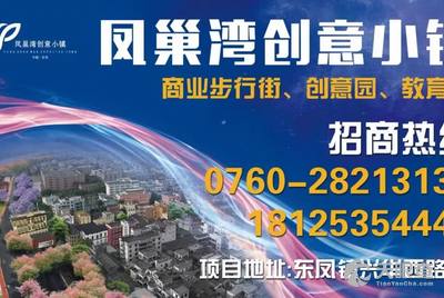 中山东凤镇最新招聘信息概览，求职者的必读指南