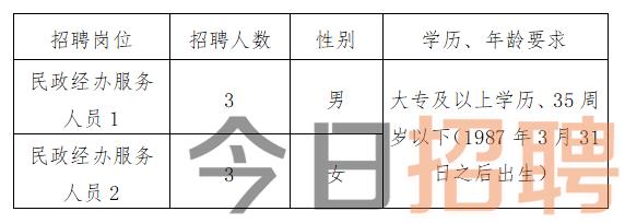 拉萨市最新招聘动态，影响与展望